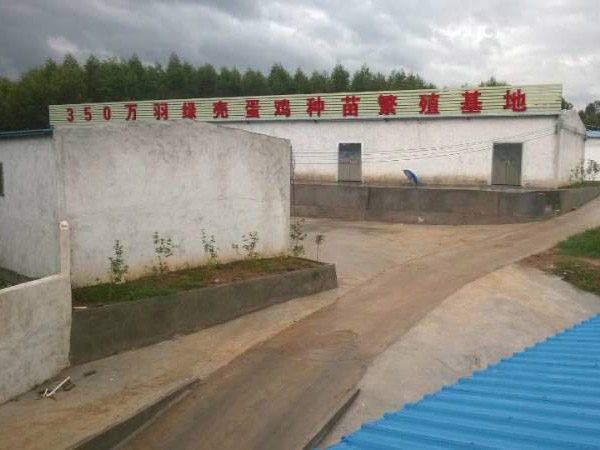 工程施工